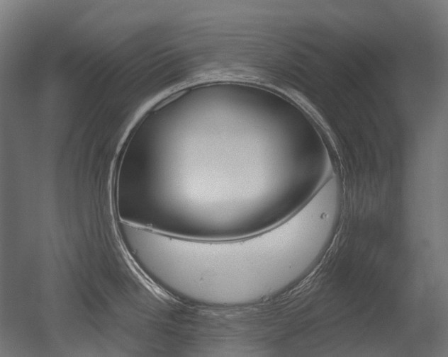 X0000051861246200506240954