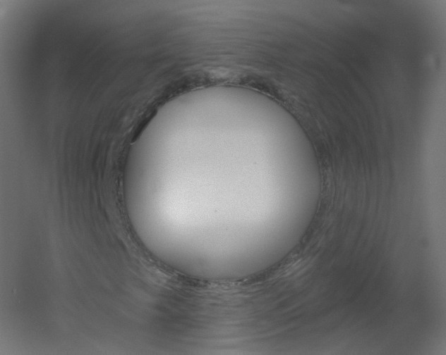 X0000051861249200506240953