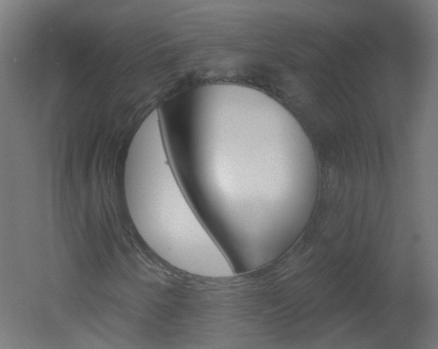 X0000051861250200506240953