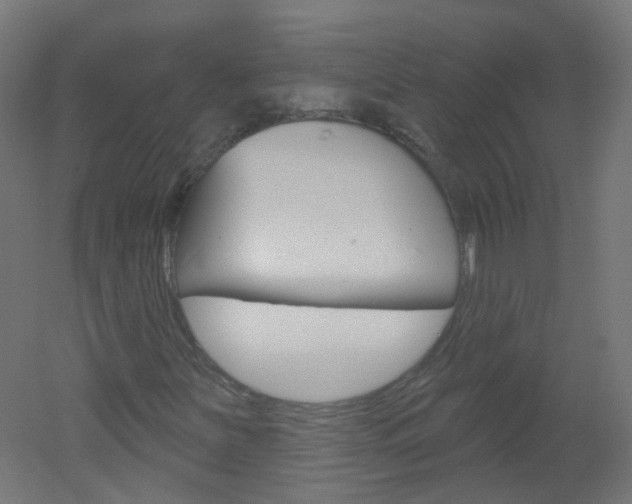 X0000051861251200506240953