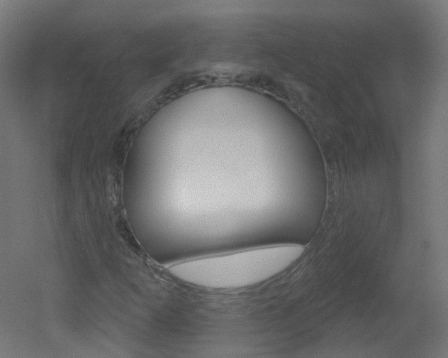 X0000051861253200506240953