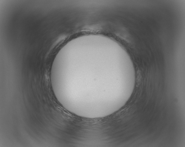 X0000051861254200506240953