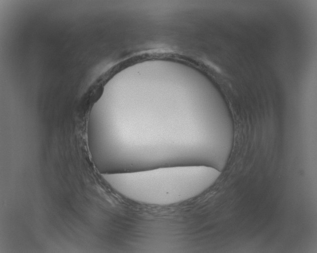 X0000051861255200506240953