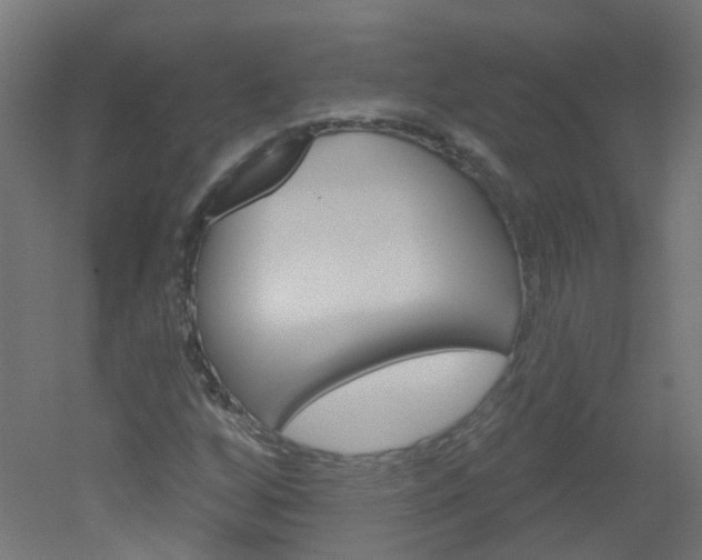 X0000051861256200506240953