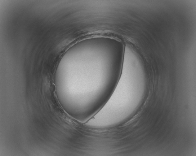 X0000051861257200506240953