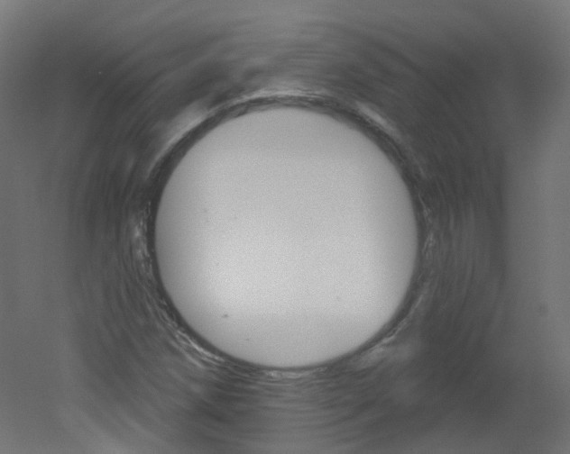 X0000051861258200506240953