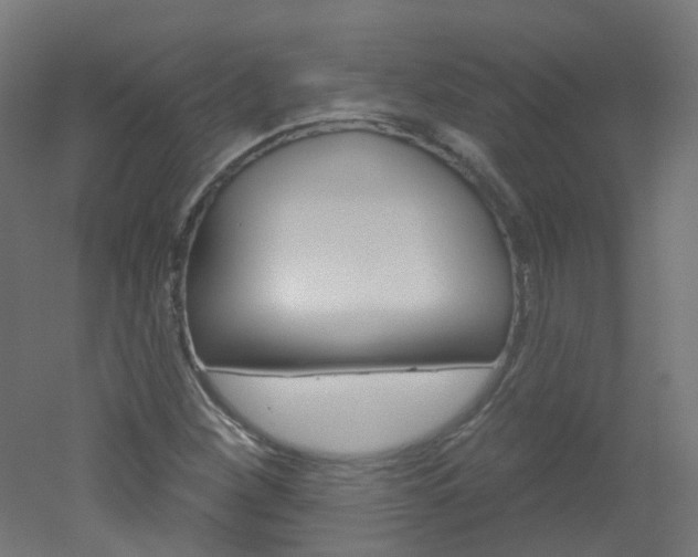 X0000051861260200506240953