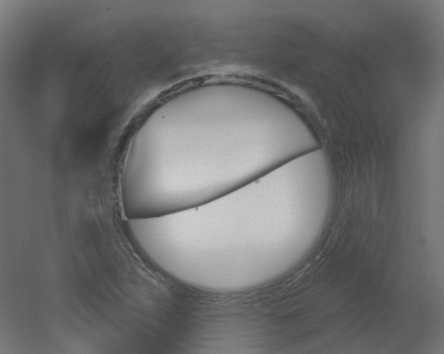 X0000051861263200506240953