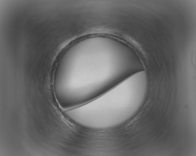 X0000051861264200506240953