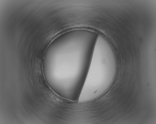 X0000051861265200506240953