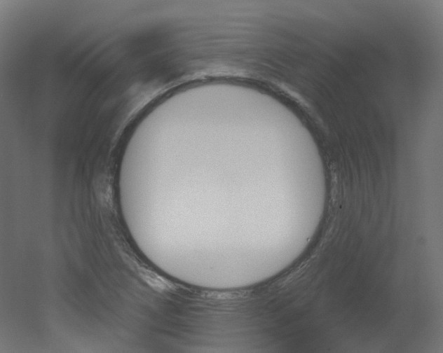 X0000051861266200506240953
