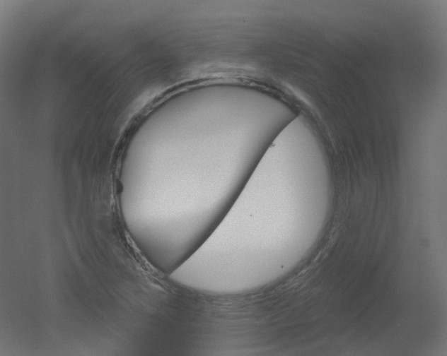 X0000051861267200506240953