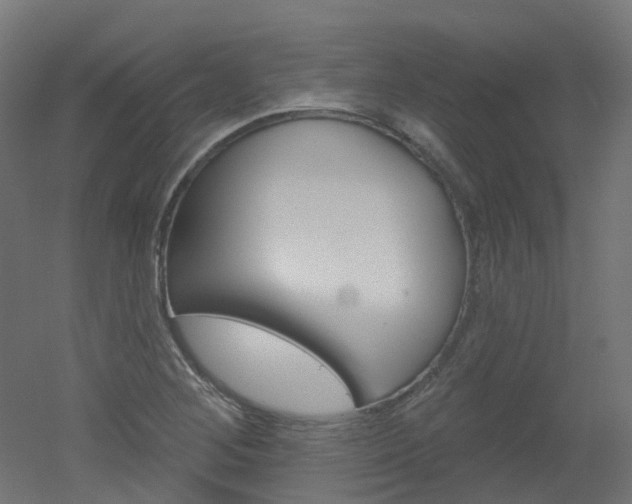 X0000051861268200506240953