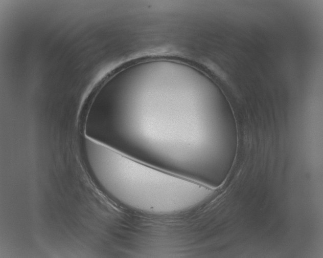 X0000051861270200506240953