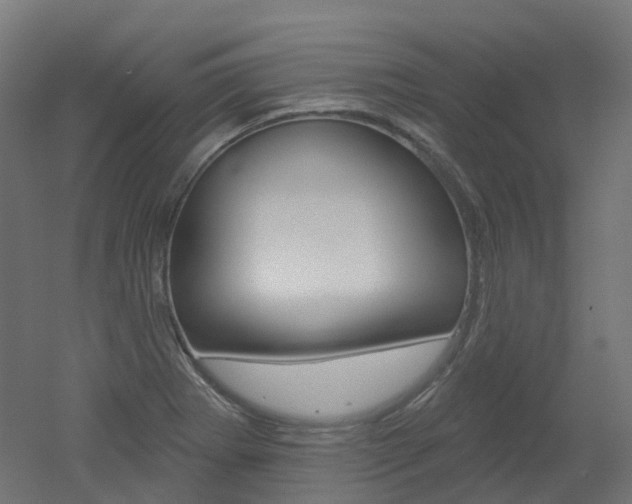 X0000051861273200506240953