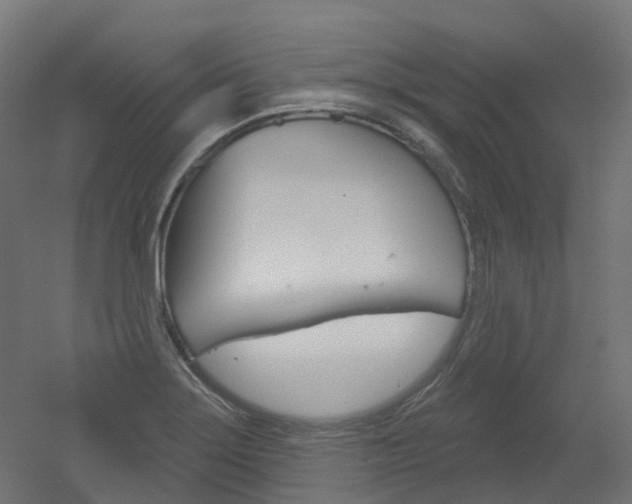 X0000051861275200506240953