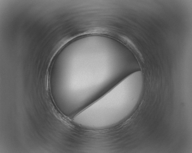 X0000051861276200506240953