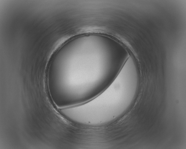 X0000051861277200506240953
