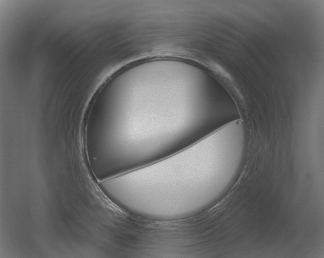 X0000051861280200506240953
