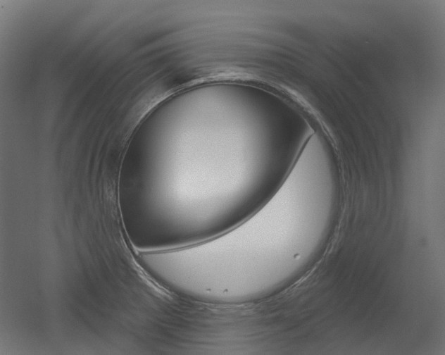 X0000051861281200506240953
