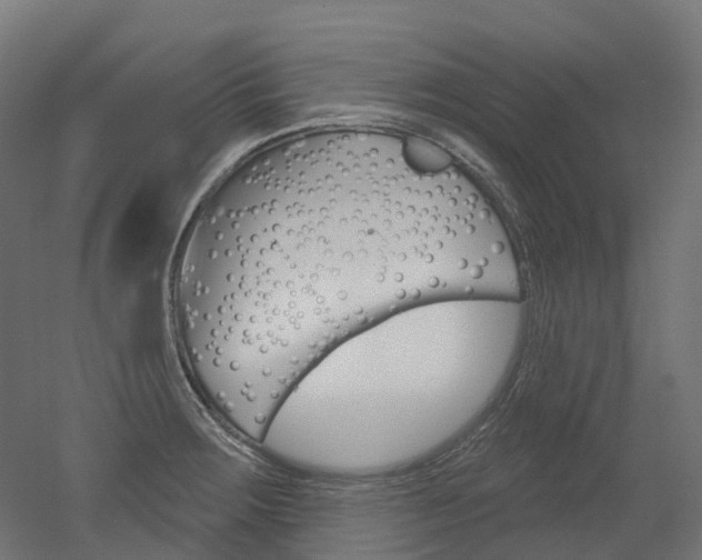 X0000051861283200506240953
