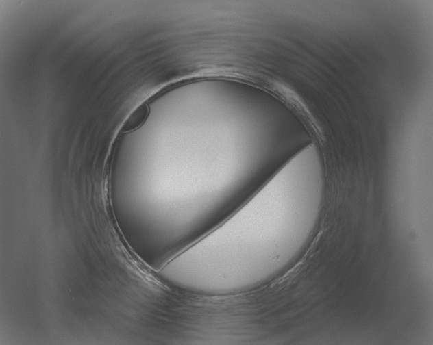 X0000051861284200506240953