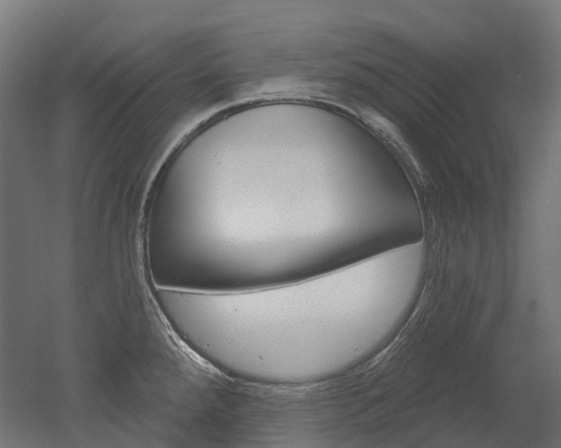X0000051861288200506240952