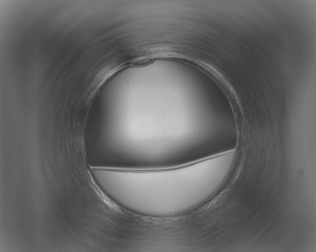 X0000051861289200506240952