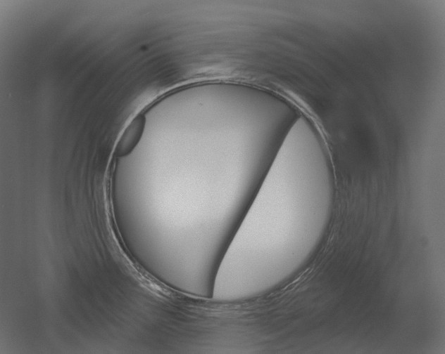 X0000051861291200506240952