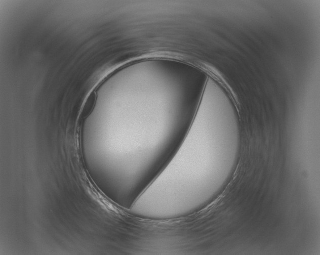 X0000051861292200506240952