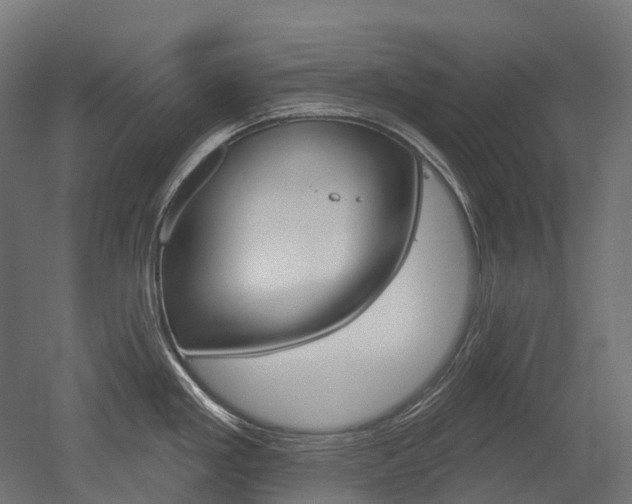 X0000051861293200506240952