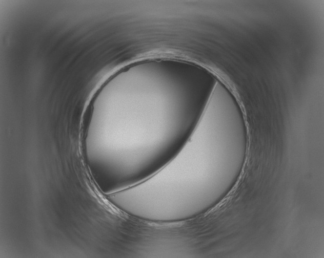 X0000051861296200506240952