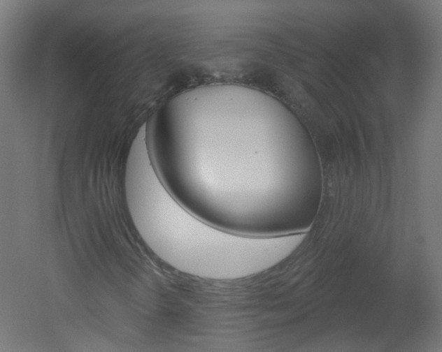 X0000051861298200506240952