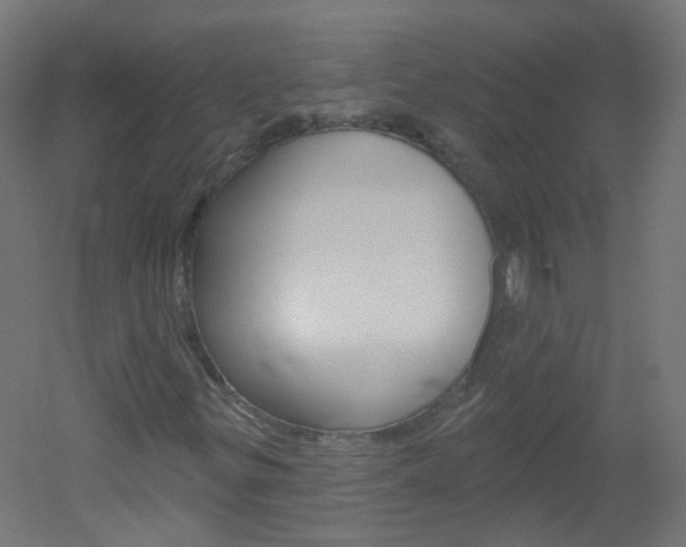 X0000051861299200506240952