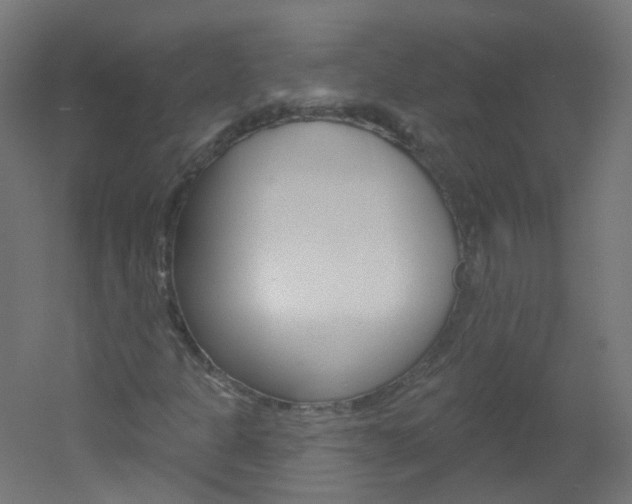 X0000051861301200506240952