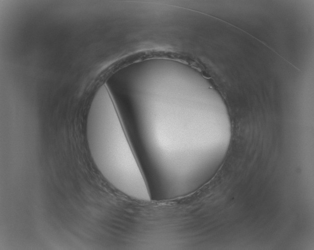 X0000051861303200506240952