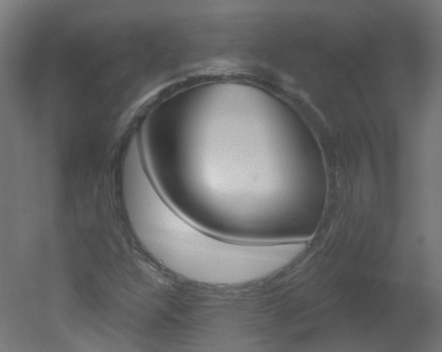 X0000051861304200506240952