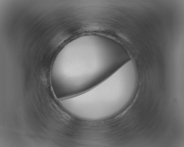 X0000051861305200506240952