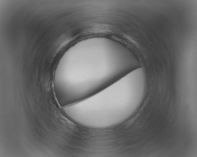 X0000051861306200506240952