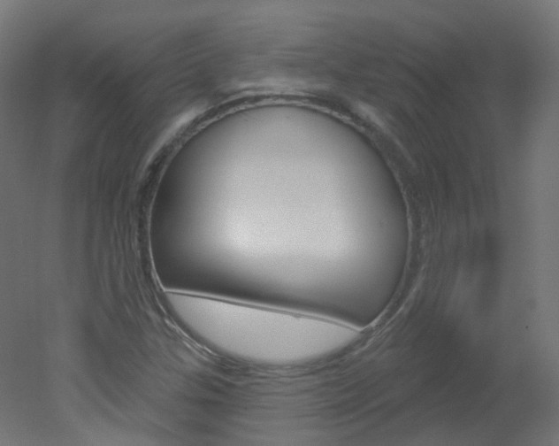 X0000051861307200506240952