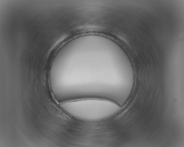 X0000051861309200506240952