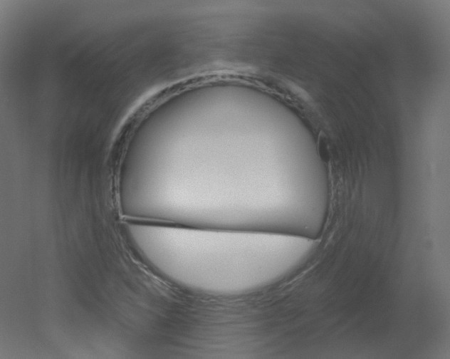 X0000051861310200506240952