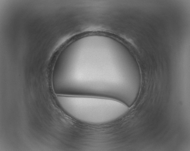 X0000051861311200506240952