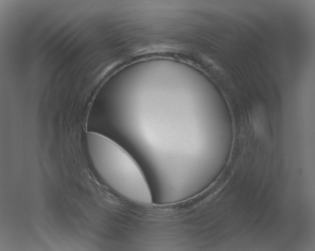 X0000051861313200506240952