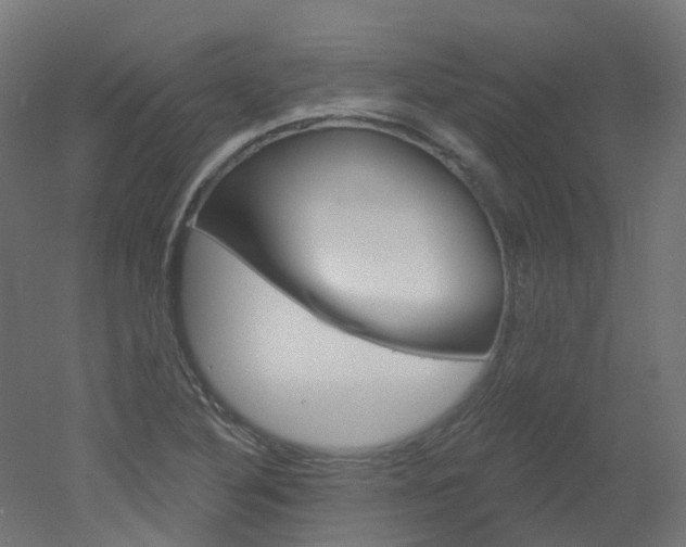 X0000051861316200506240952