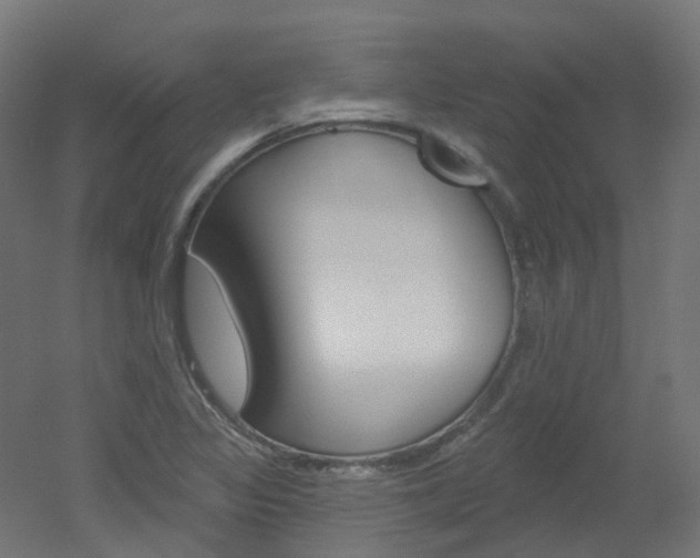X0000051861317200506240952