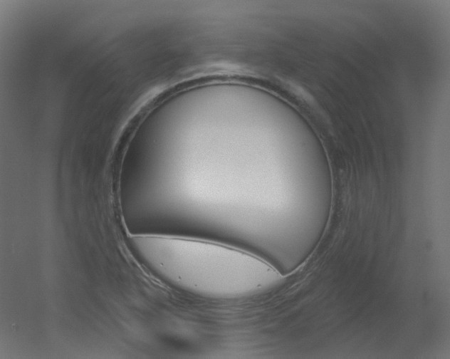 X0000051861318200506240952