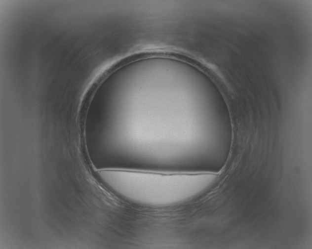 X0000051861319200506240952