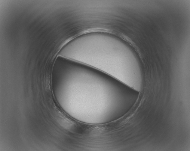 X0000051861321200506240952
