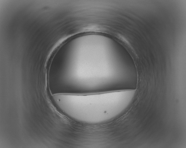 X0000051861323200506240952